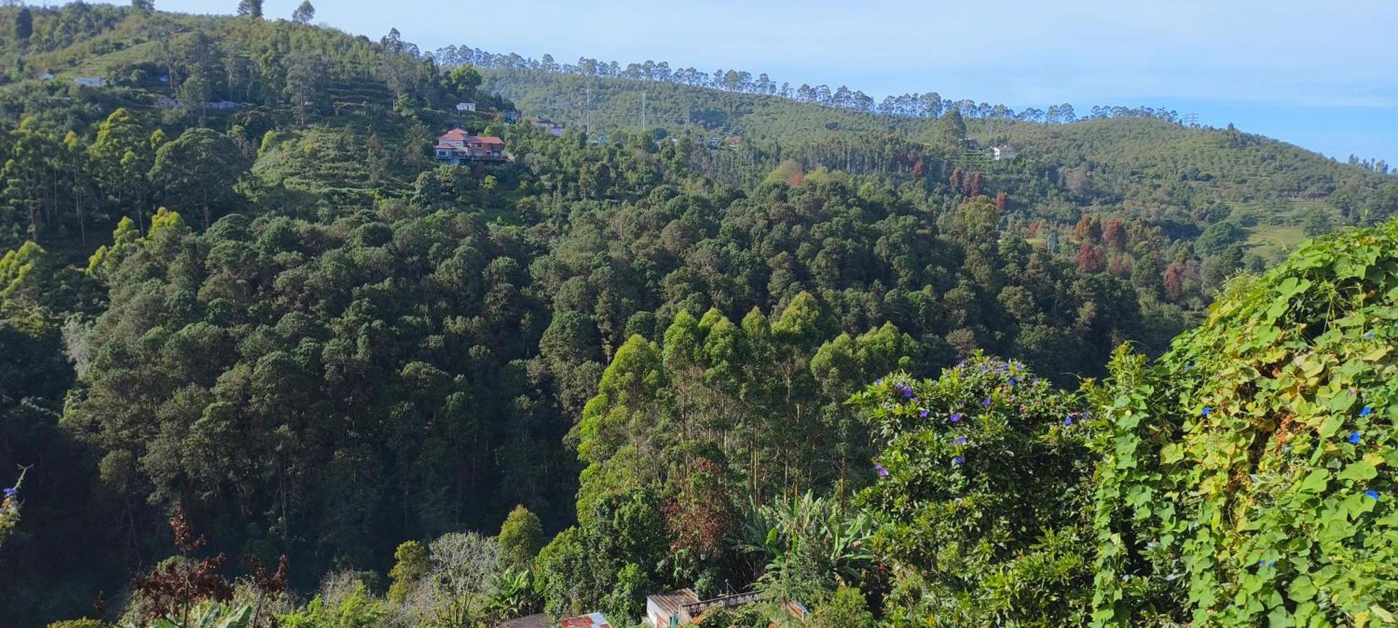 Highland Heaven Hotel Kodaikanal Buitenkant foto